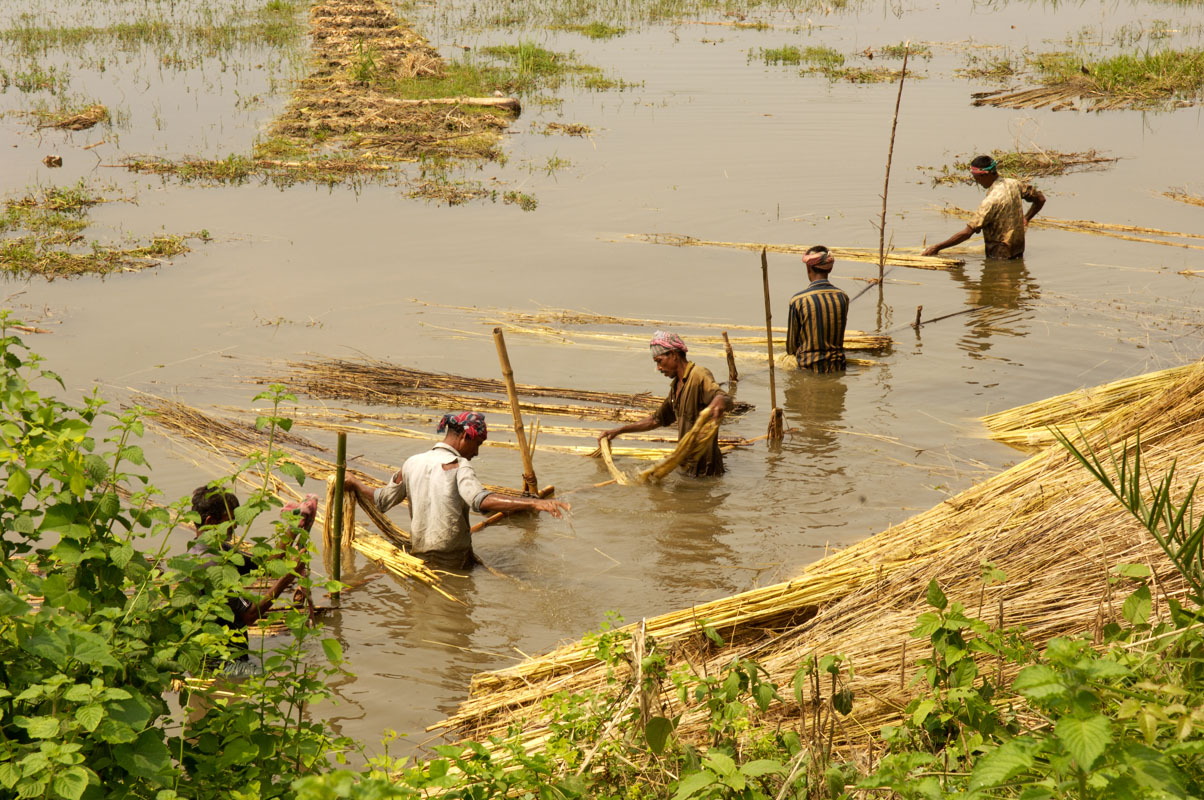 Traditional jute craftsmanship